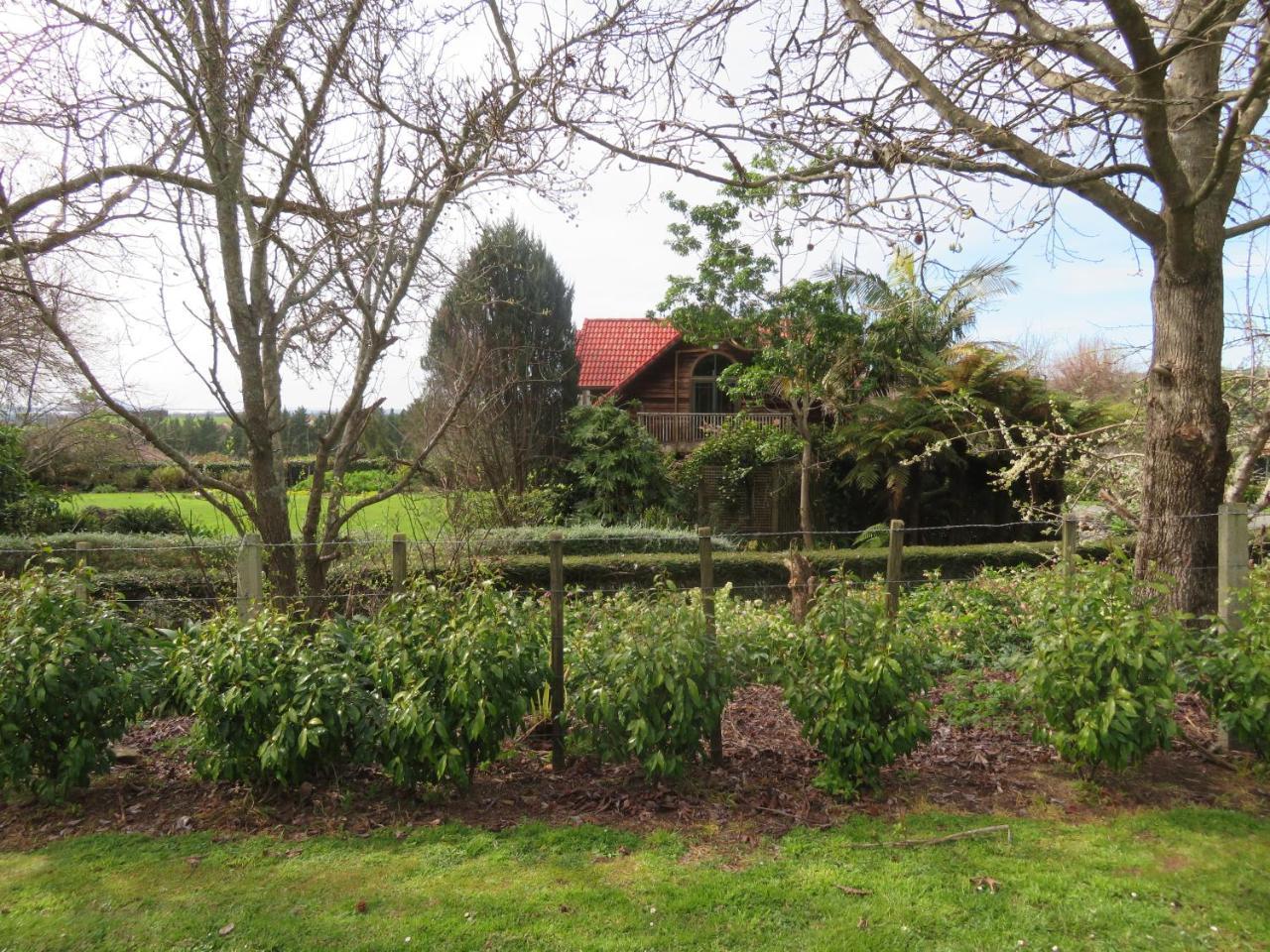 Three Gables B&B Whakamarama Exterior photo